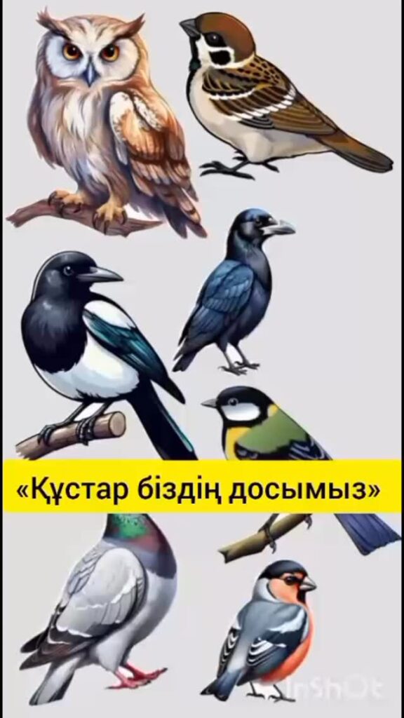 Ақтау қаласы бойынша білім бөлімінің "Айшуақ" санаториялық бөбекжайы" КММ Жаңалықтары