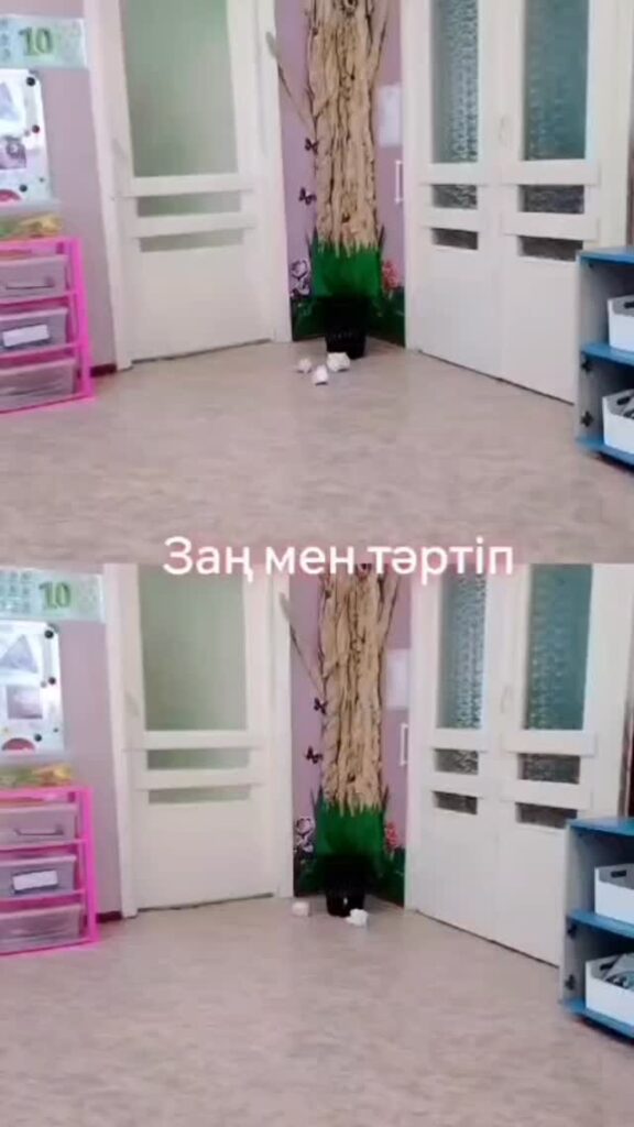 Ақтау қаласы бойынша білім бөлімінің "Айшуақ" санаториялық бөбекжайы" КММ Жаңалықтары